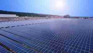 中美硅晶与至成国际光电携手战略合作